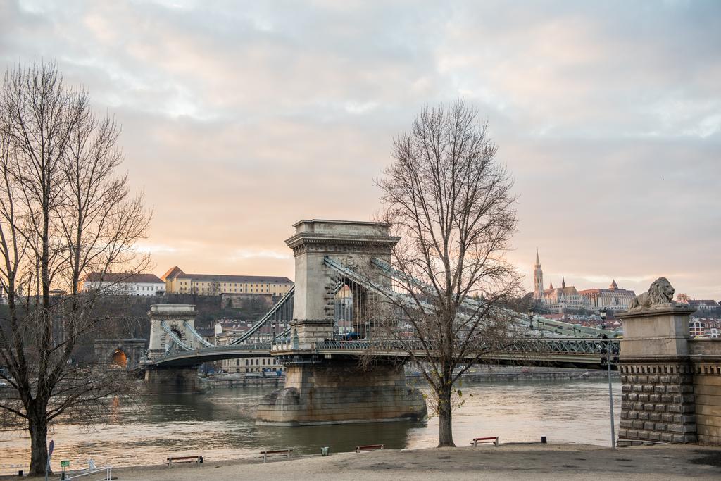 Danube Castleview Apartment ブダペスト 部屋 写真